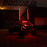 6ft LED Whip Lights - image 2